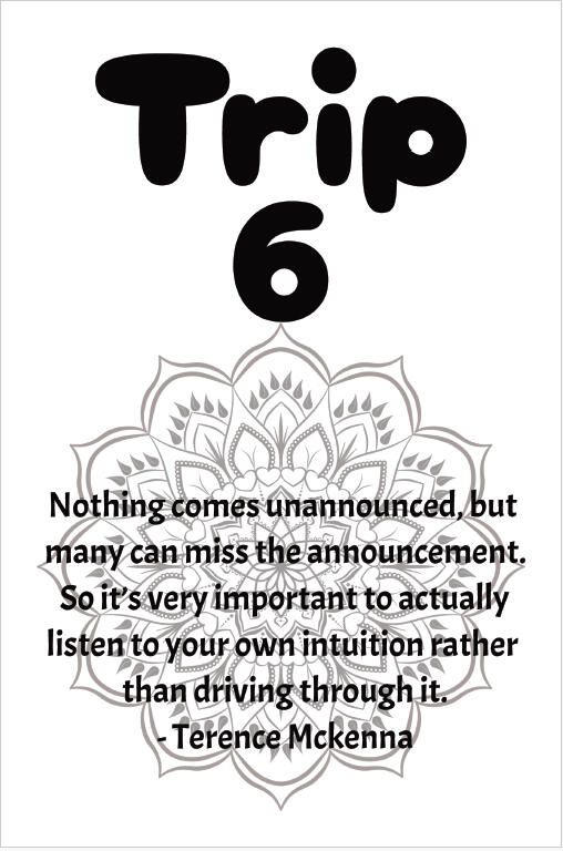 Trip 6 Cover Page Featuring a Quote from a Psychedelic Pioneer & Thought Leader
