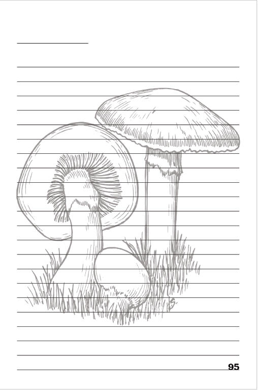 Mushroom Themed Lined Journal Pages for Free Writing and Creative Freedom